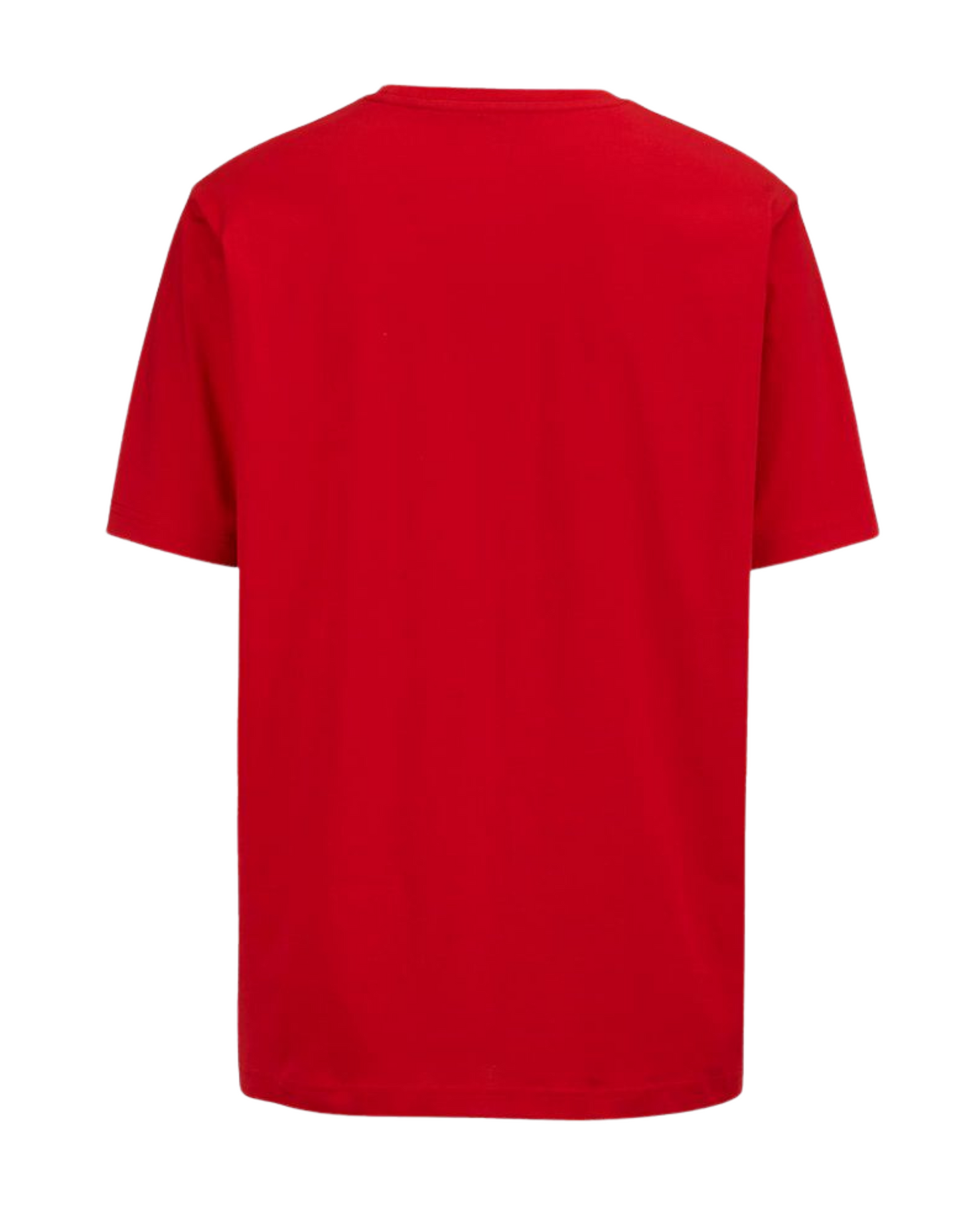 Solid Regural Fit Tees