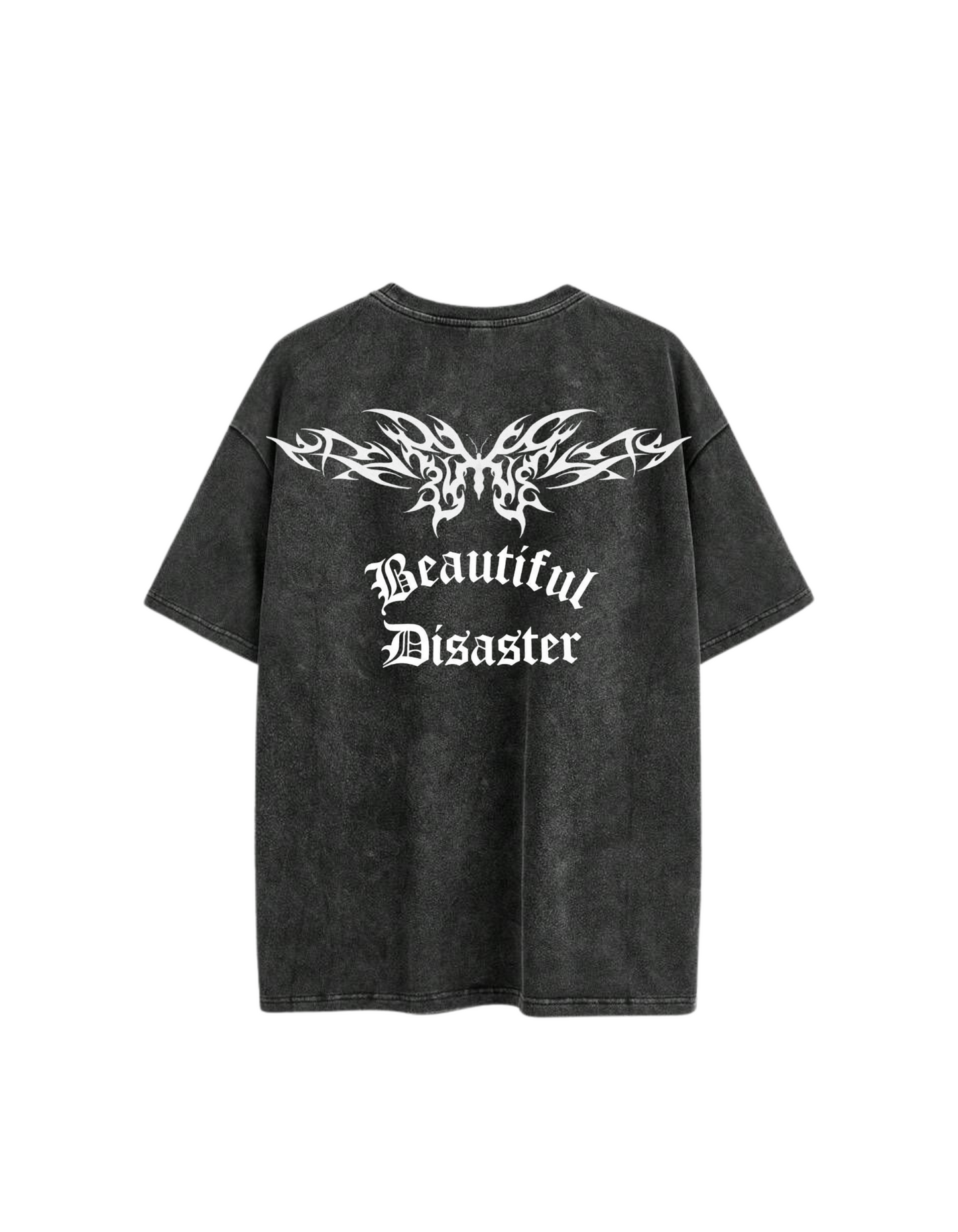 BEAUTIFUL DISASTER