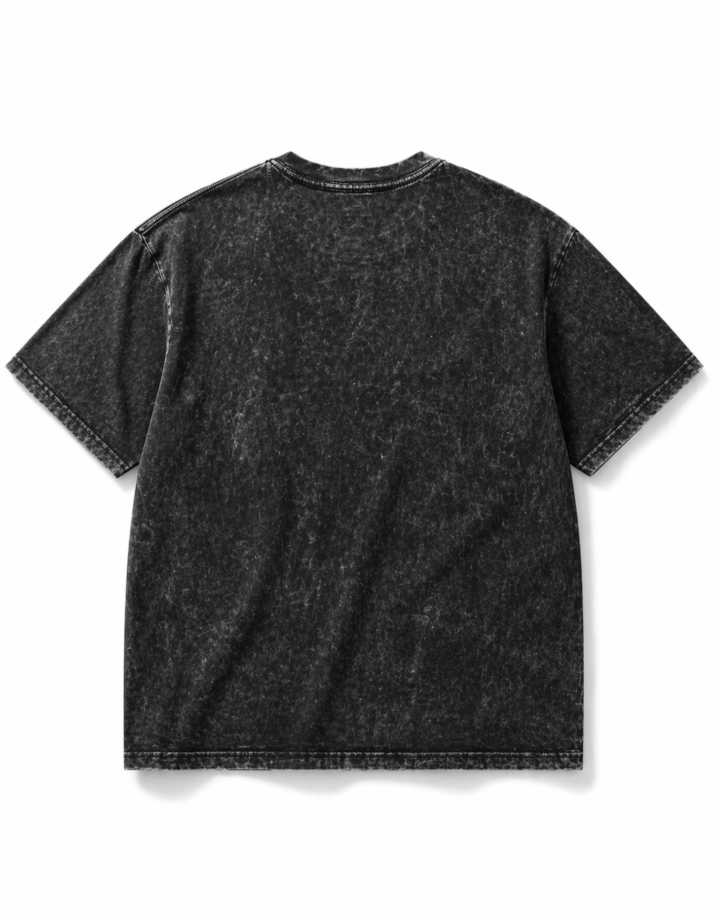 SHER E PANJAB OVERSIZED T-SHIRT