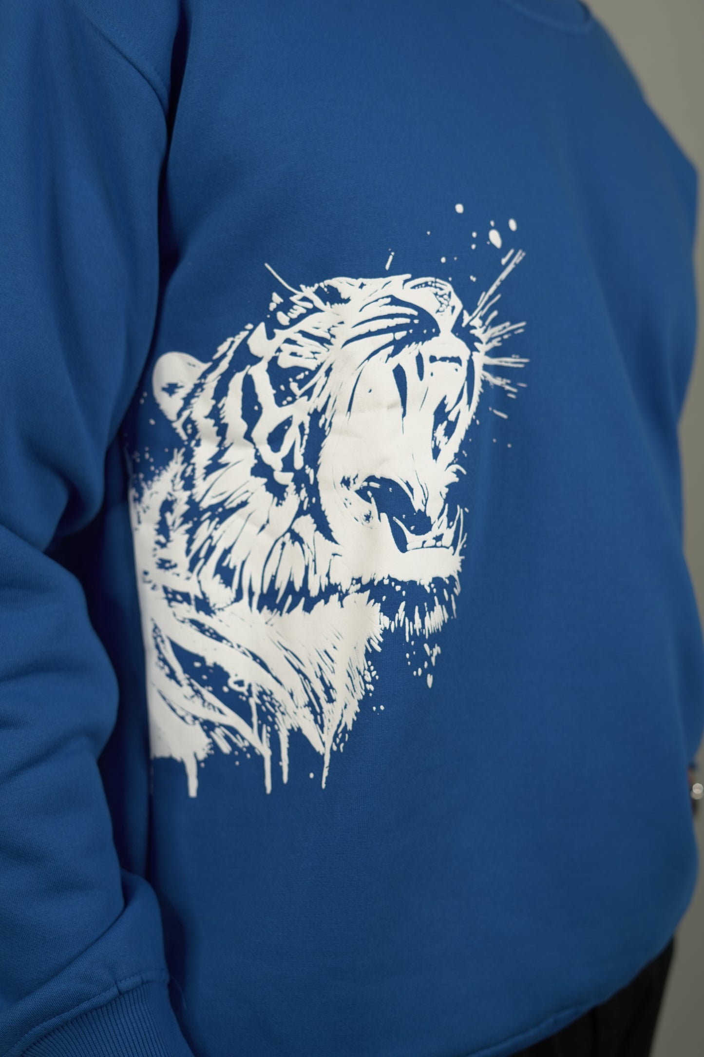 Tiger Oversized Sweatshirt
