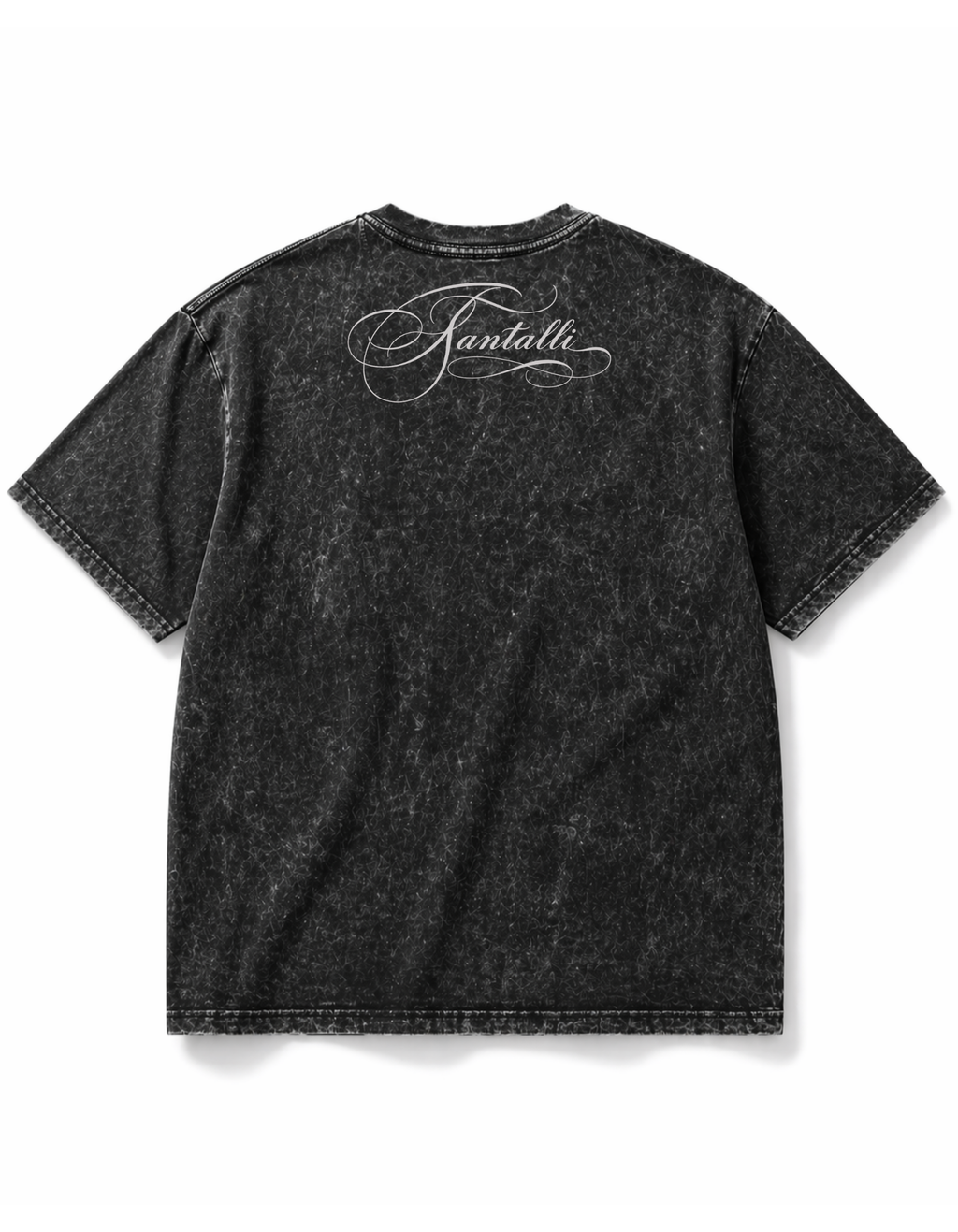 PANJAB PRIDE OVERSIZED T-SHIRT