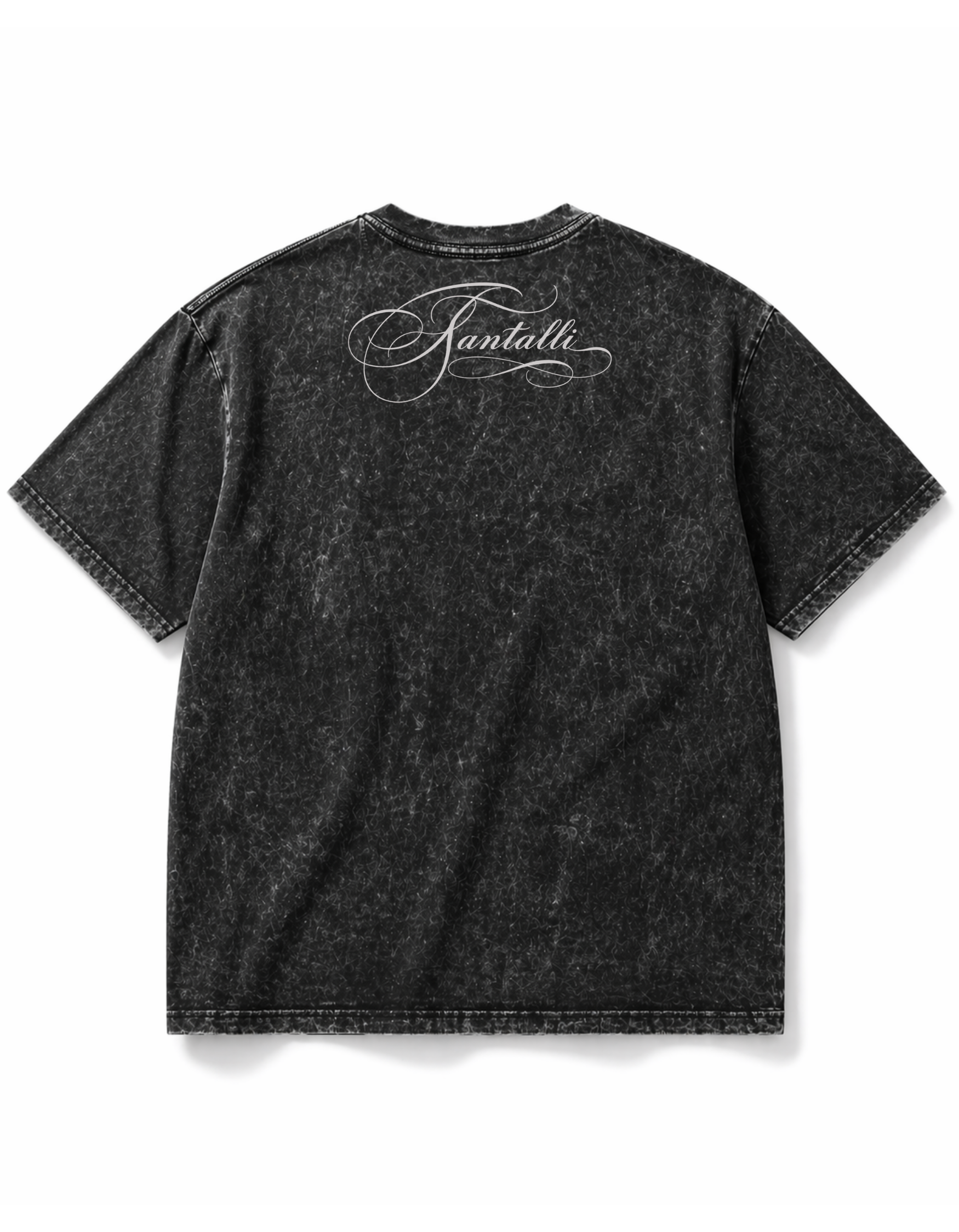 PANJAB PRIDE OVERSIZED T-SHIRT