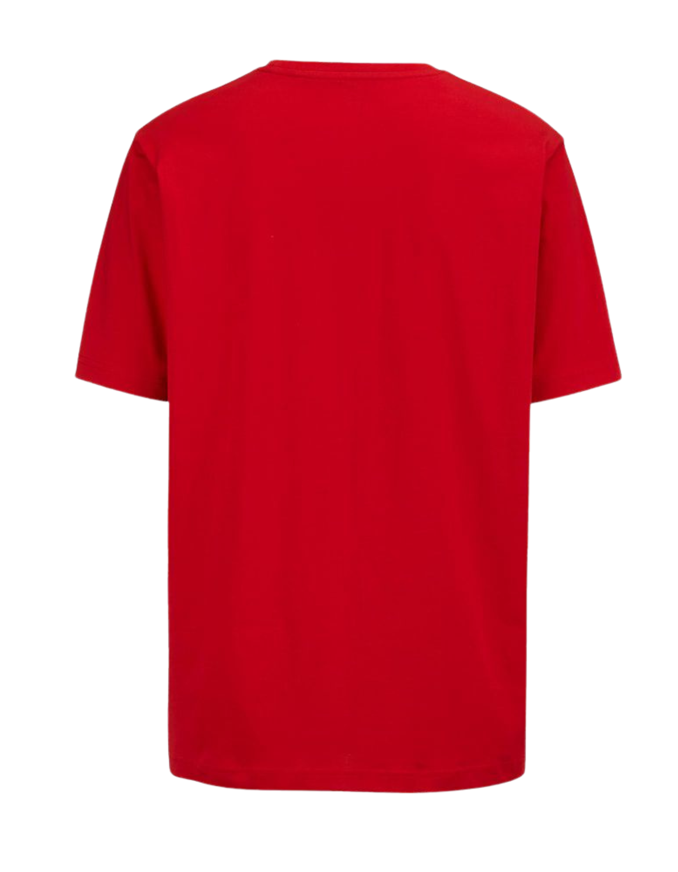 Solid Regural Fit Tees