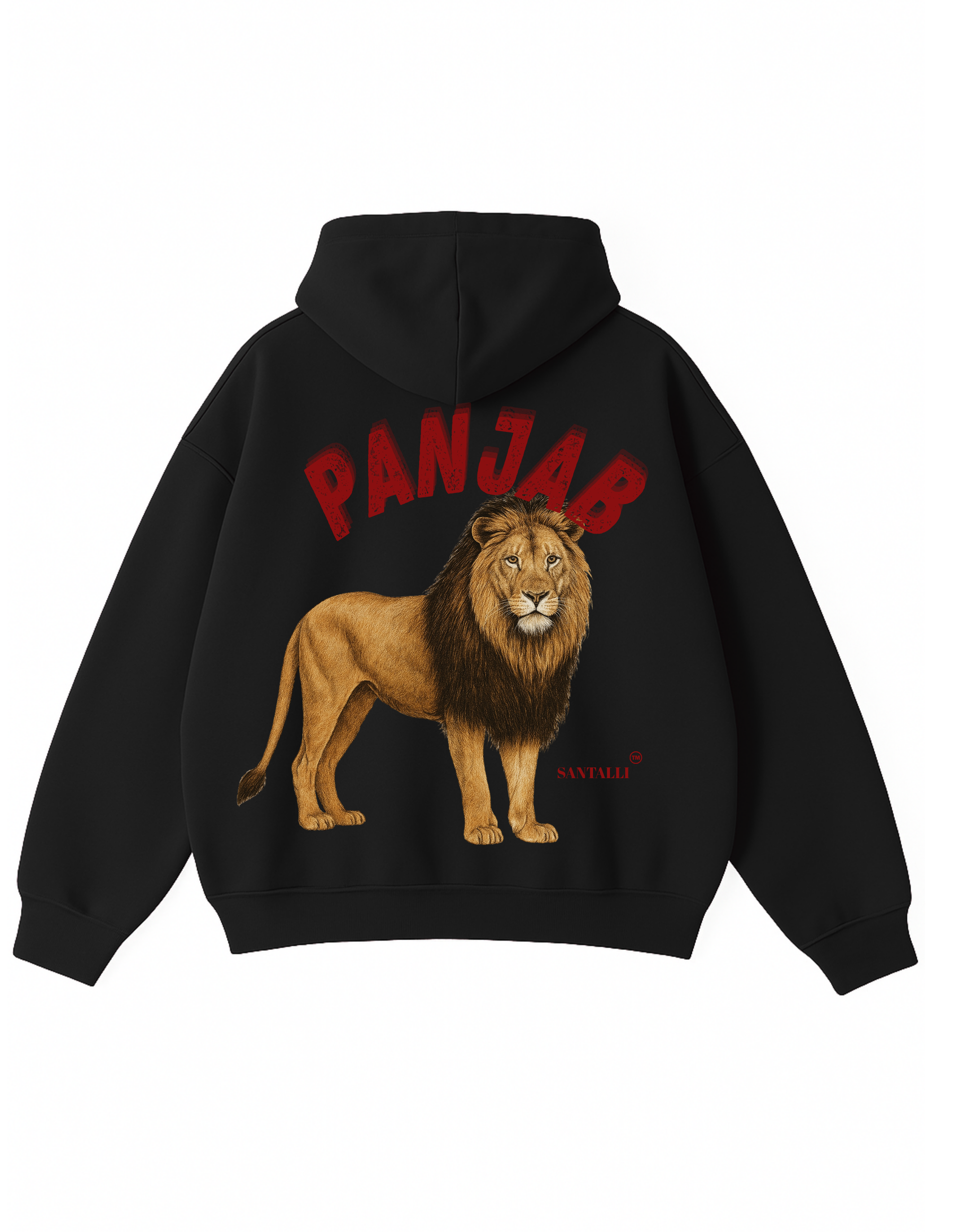 LION PANJAB OVERSIZED HOODIE – Santalli