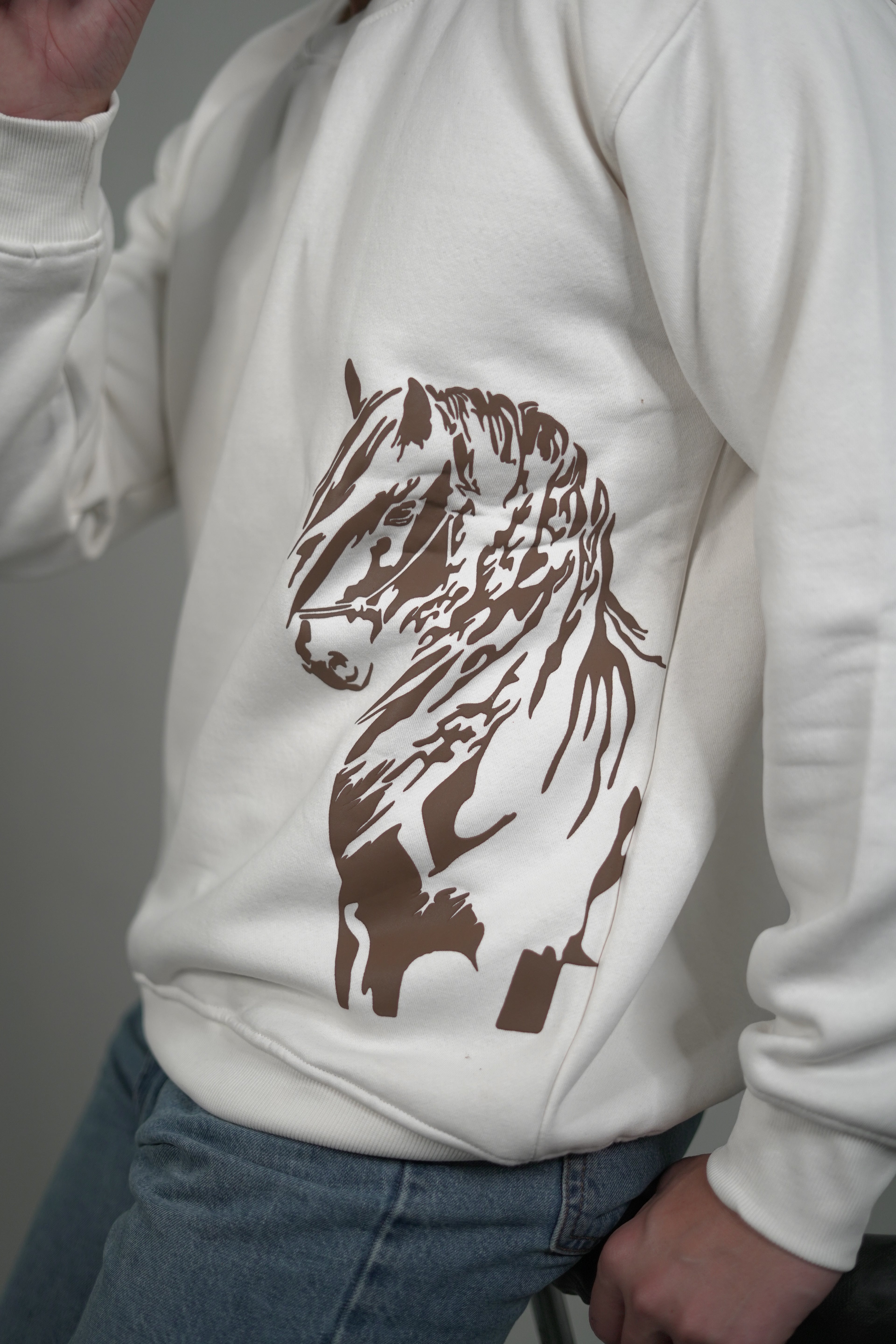 Horse Oversized Sweatshirt