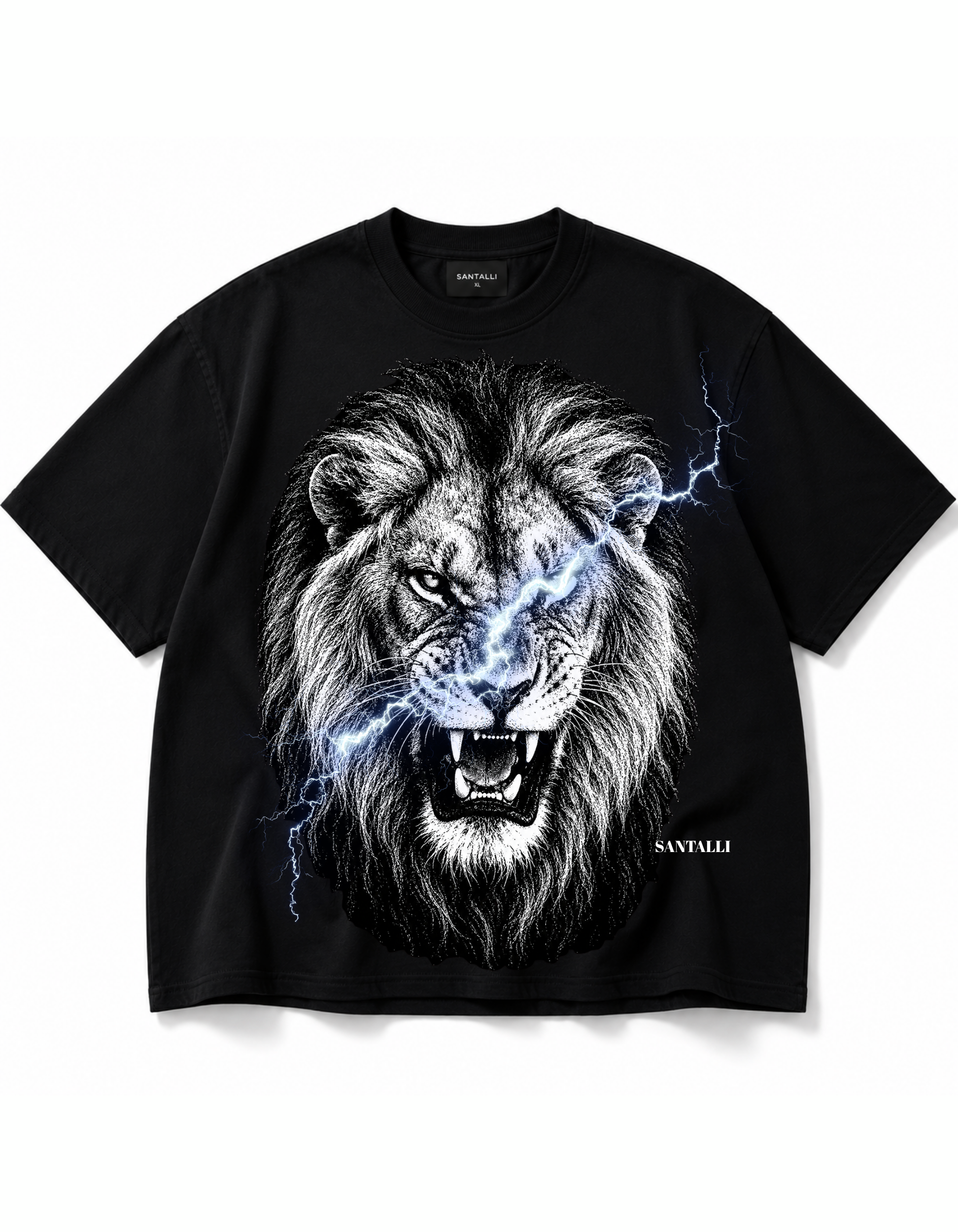 THE LION OVERSIZED T SHIRT