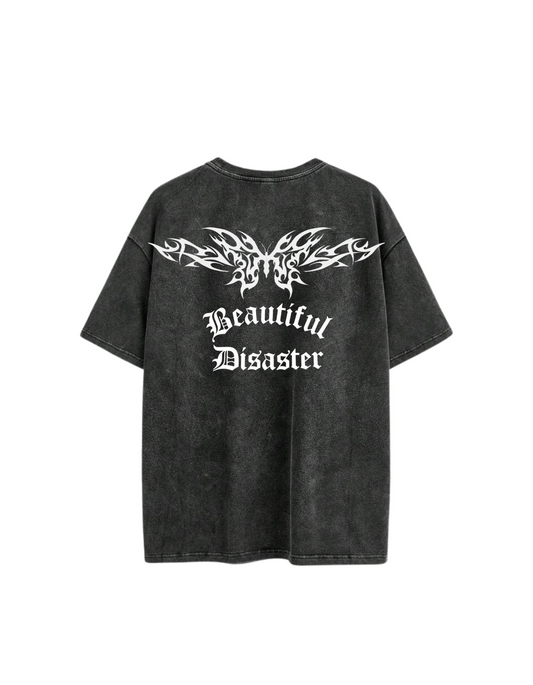 BEAUTIFUL DISASTER
