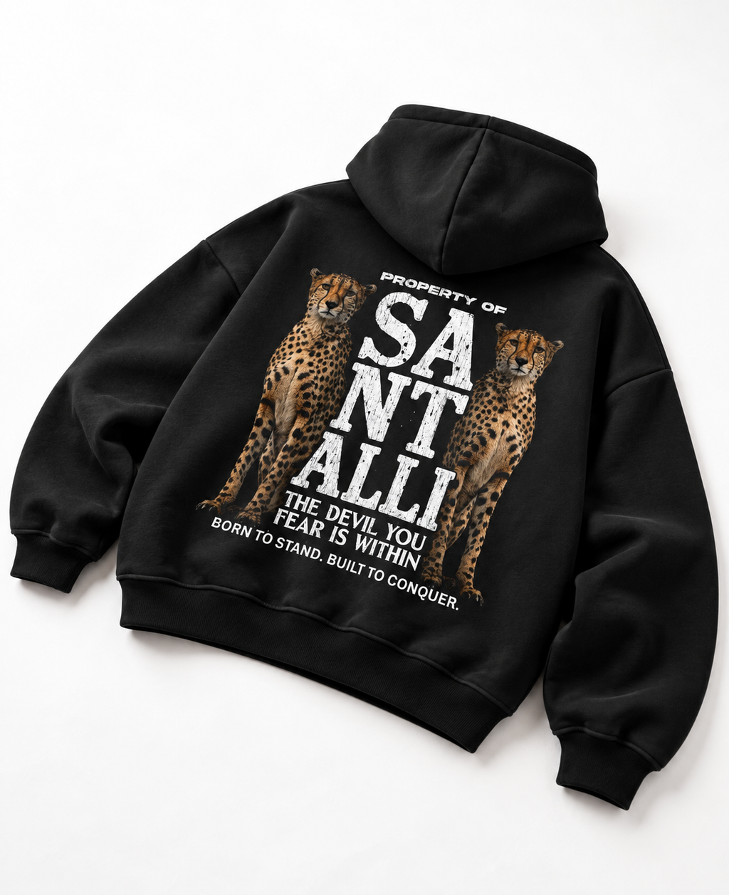 LEOPARD PANJAB OVERSIZED BOXY HOODIE