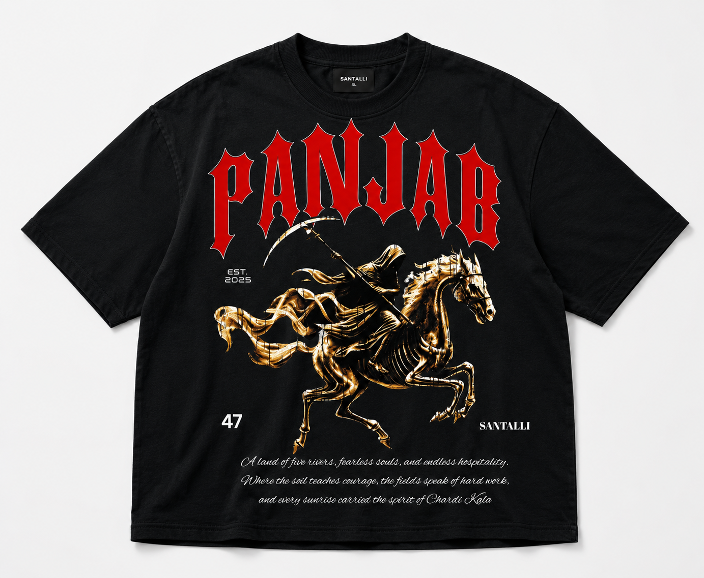 PANJAB FEARLESS OVERSIZED T SHIRT