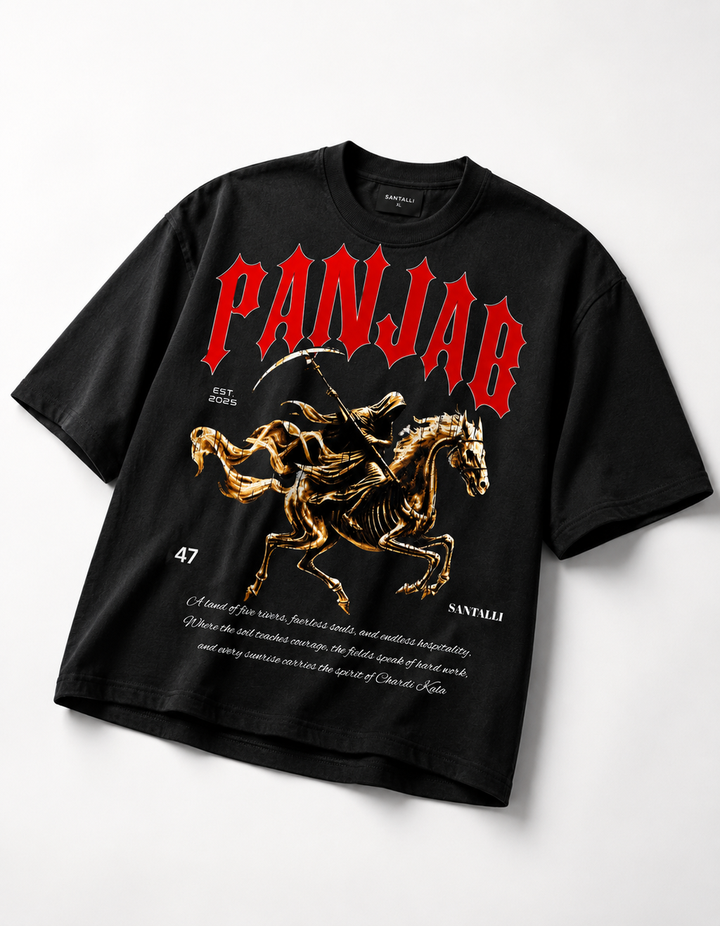 PANJAB FEARLESS OVERSIZED T SHIRT