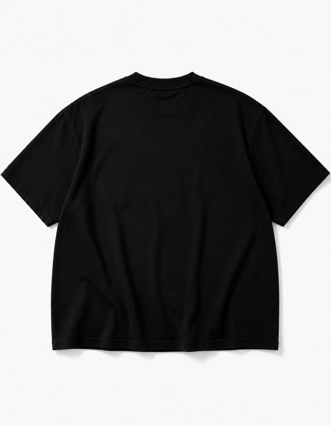 PANJAB FEARLESS OVERSIZED T SHIRT
