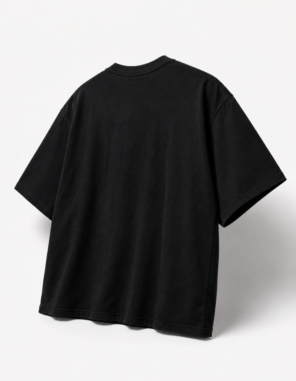 PANJAB FEARLESS OVERSIZED T SHIRT