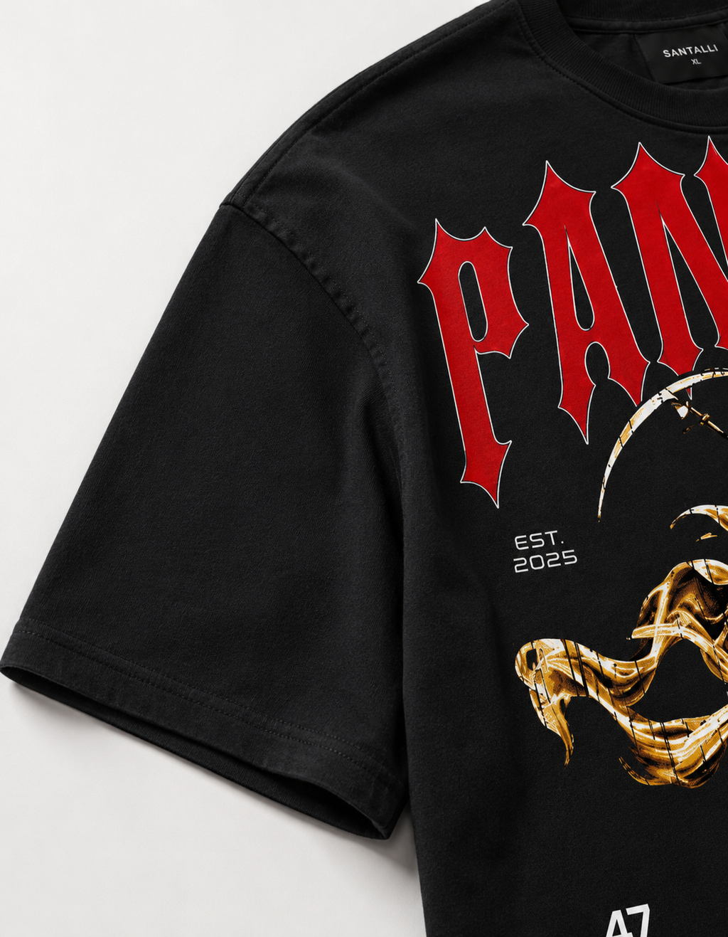 PANJAB FEARLESS OVERSIZED T SHIRT