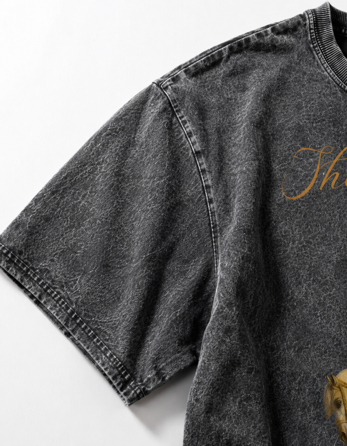 SHER E PANJAB OVERSIZED T SHIRT