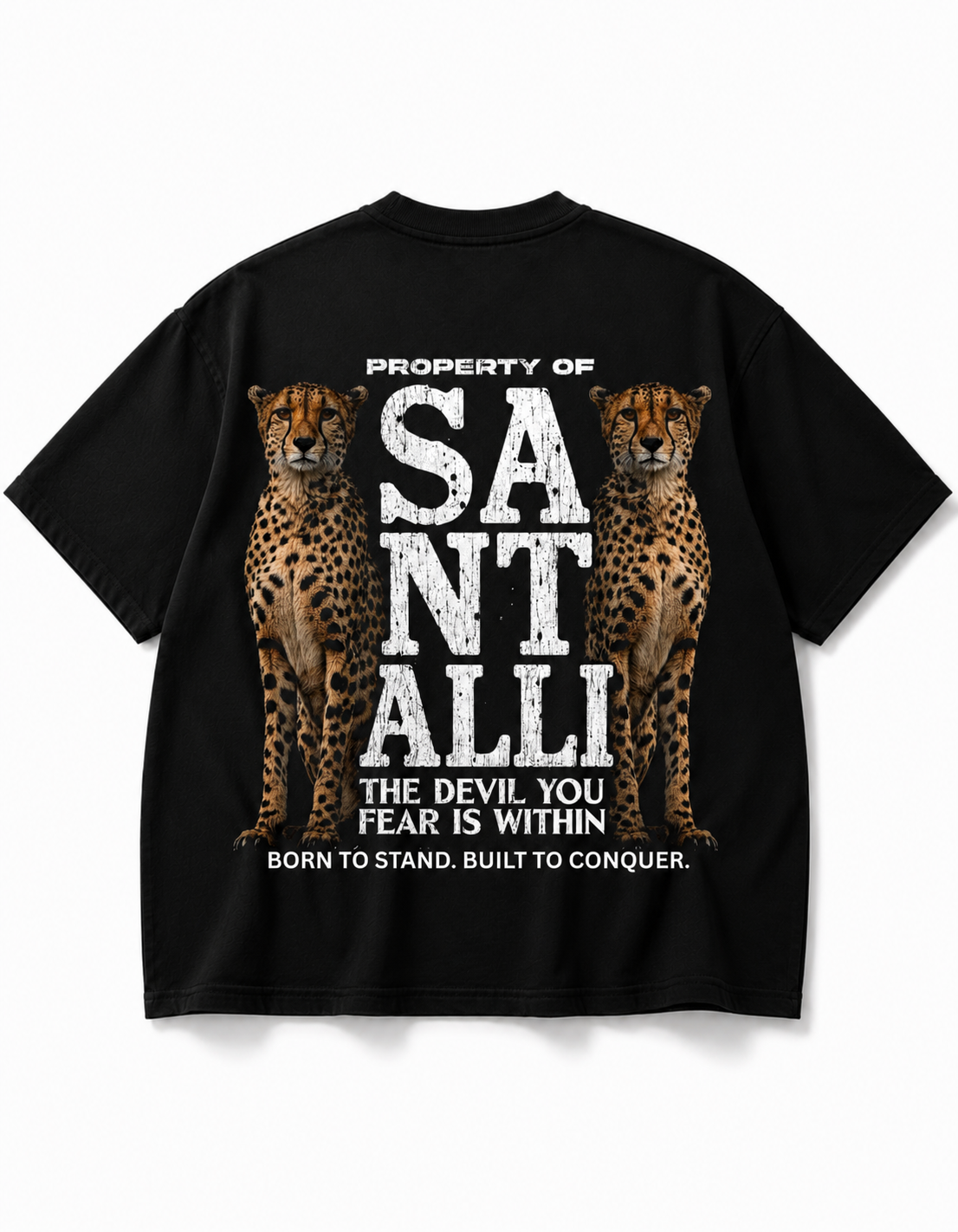 LEPORD PANJAB OVERSIZED T SHIRT