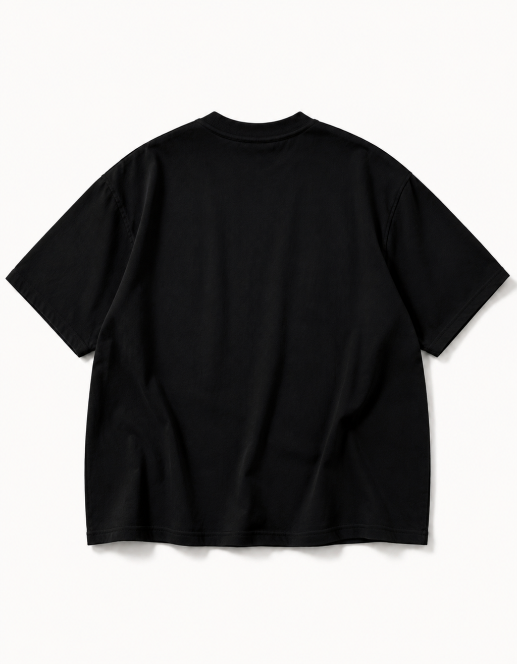 PANJAB 3.0 OVERSIZED T SHIRT