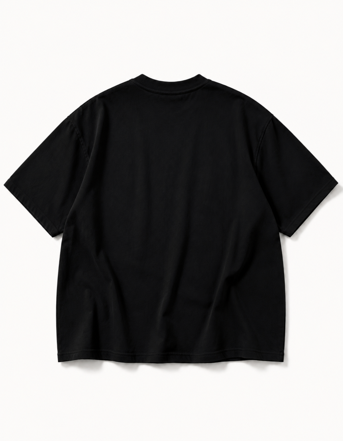 PANJAB 3.0 OVERSIZED T SHIRT