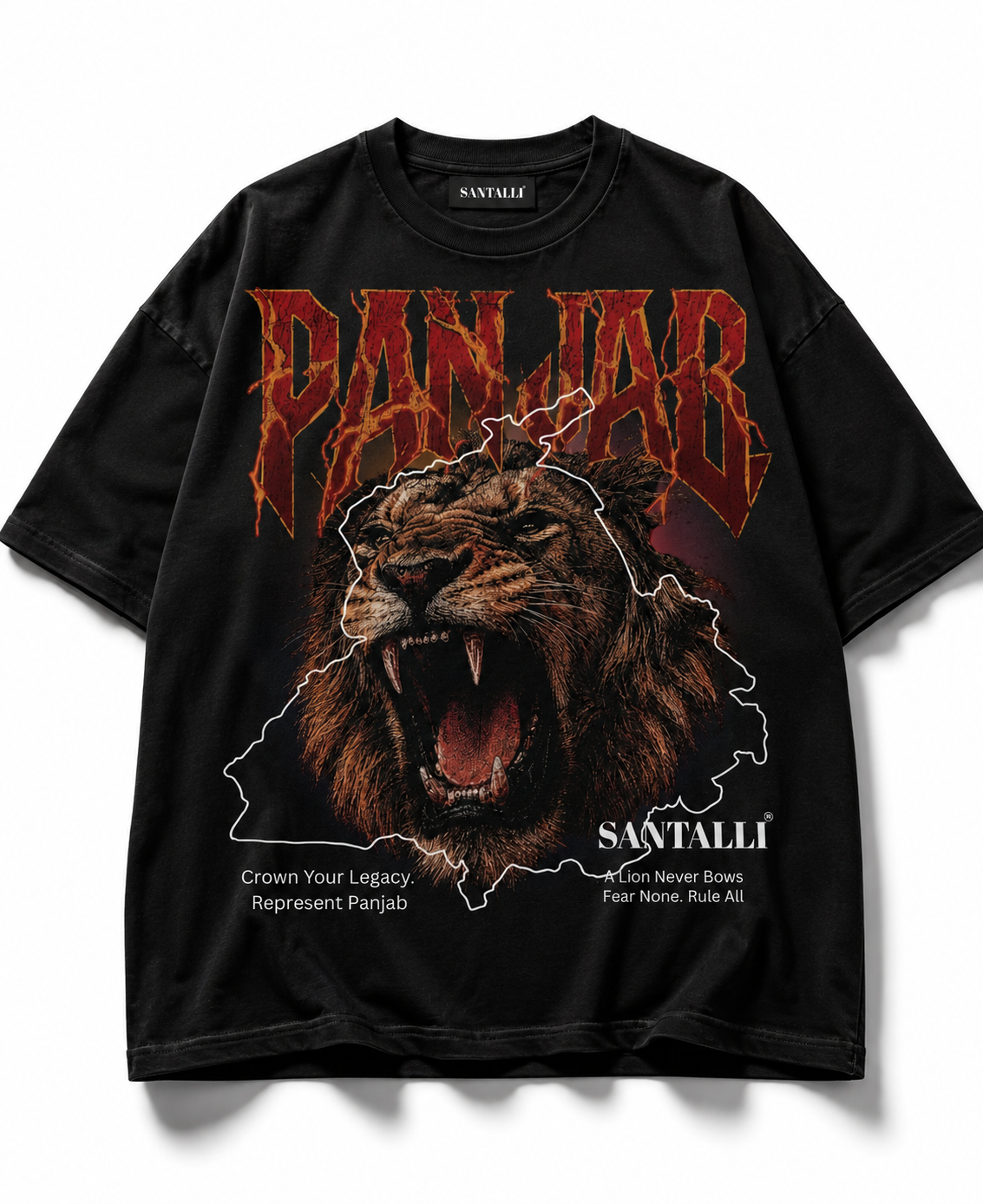 LION OF PANJAB OVERSIZED T-SHIRT