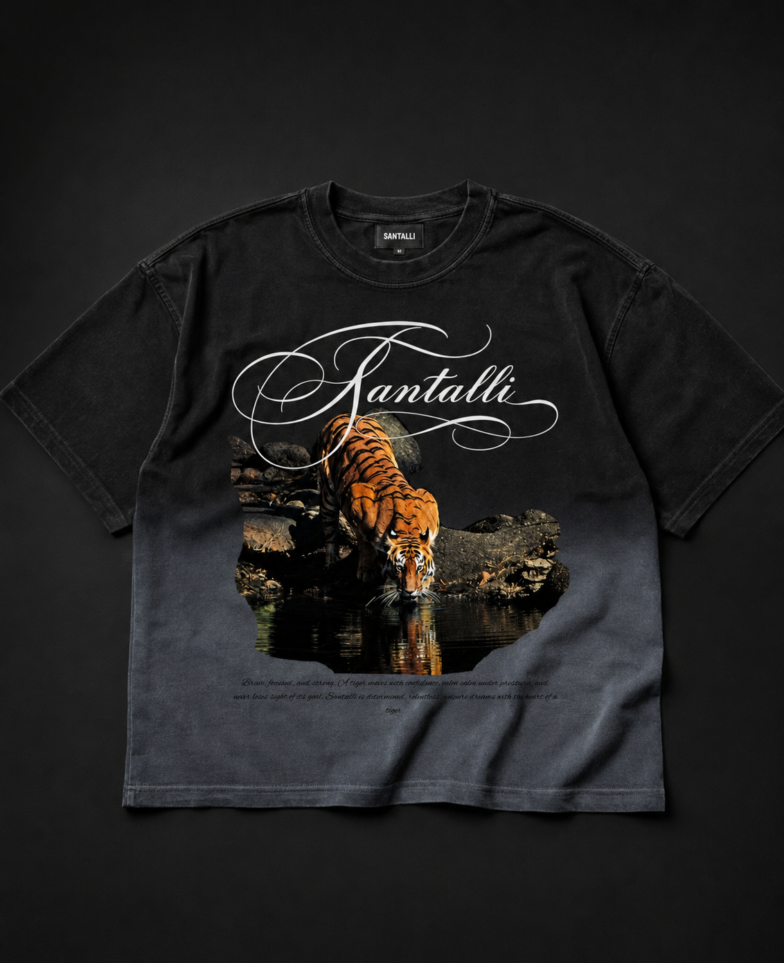 TIGER OMBERY WASHED T-SHIRT