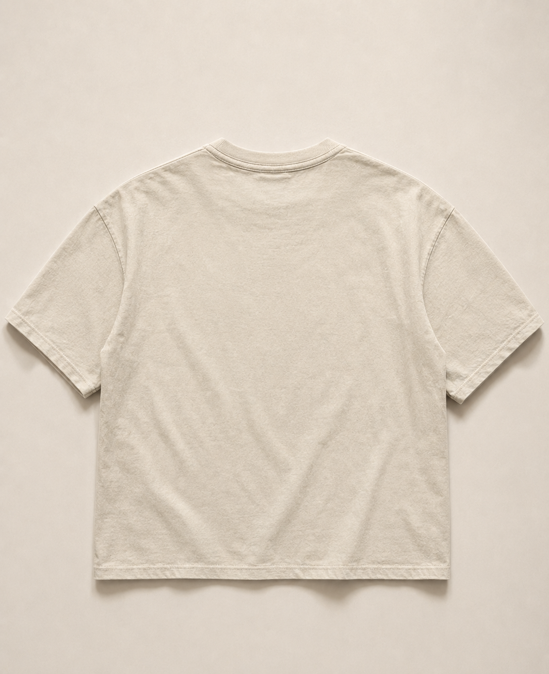 SHER E PANJAB BOXY FIT T-SHIRT