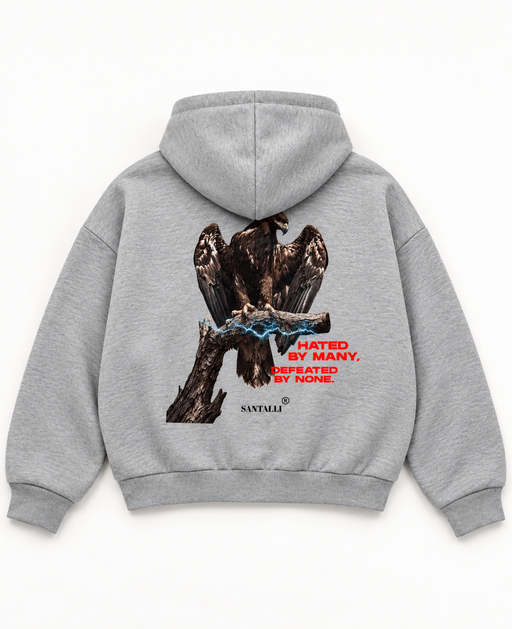 HATED BY MANY ZIPPER OVERSIZED BOXY HOODIE