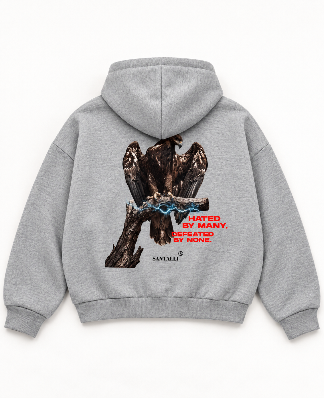 HATED BY MANY ZIPPER OVERSIZED BOXY HOODIE
