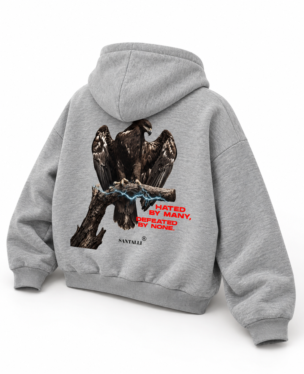 HATED BY MANY ZIPPER OVERSIZED BOXY HOODIE