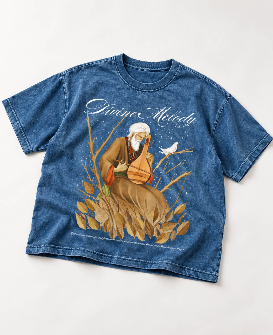 DIVINE MELODY BOXY FIT OVERSIZED T-SHIRT