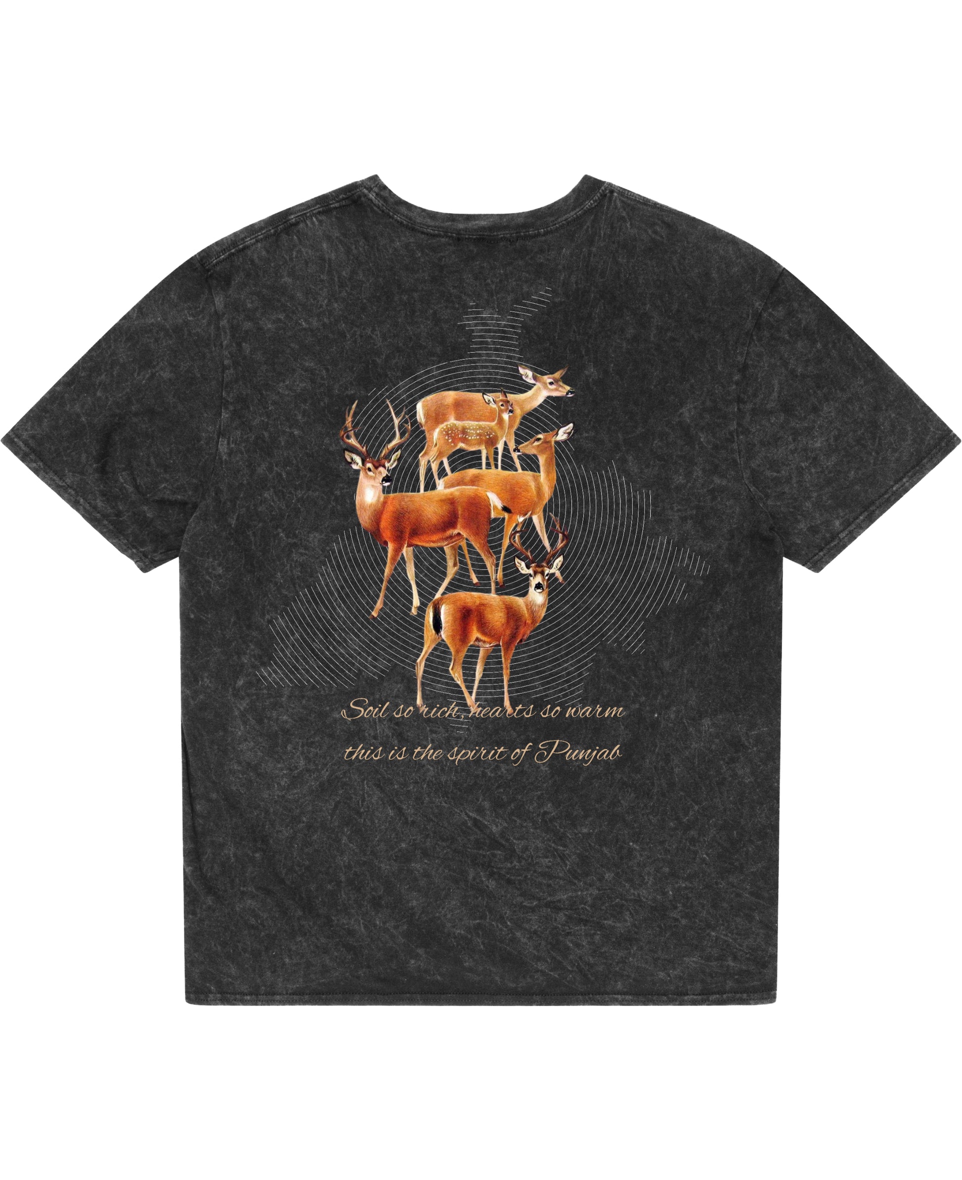 Acidwash Oversized T-shirt Back Design