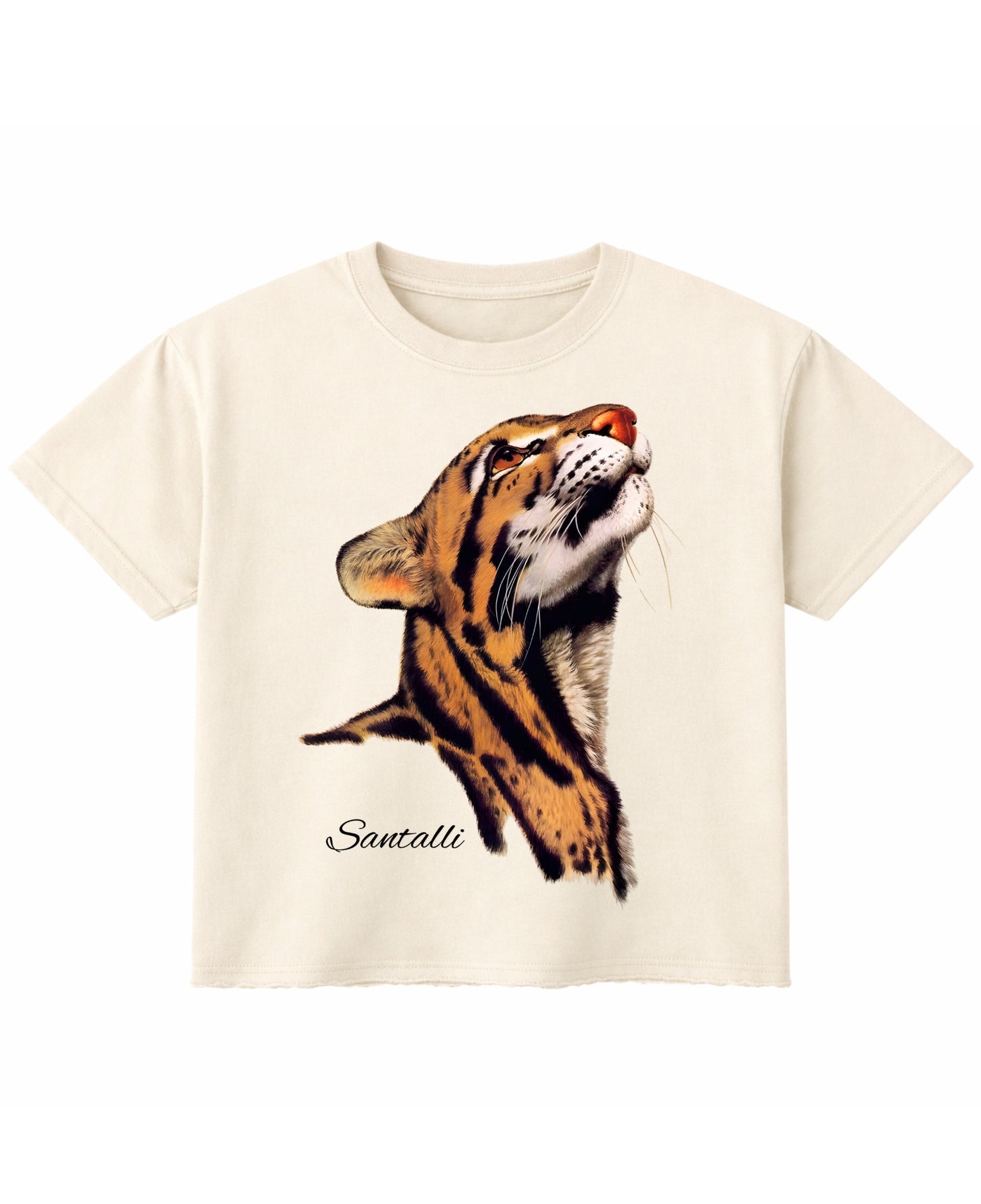 Off White Boxy Fit T-shirt Front Design