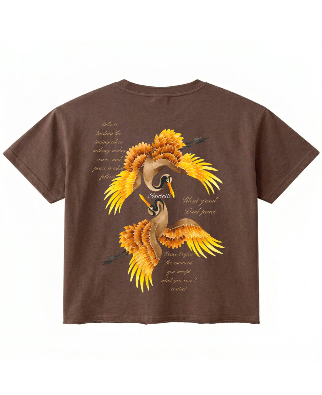 Brown Boxy Fit T-shirt Back Design