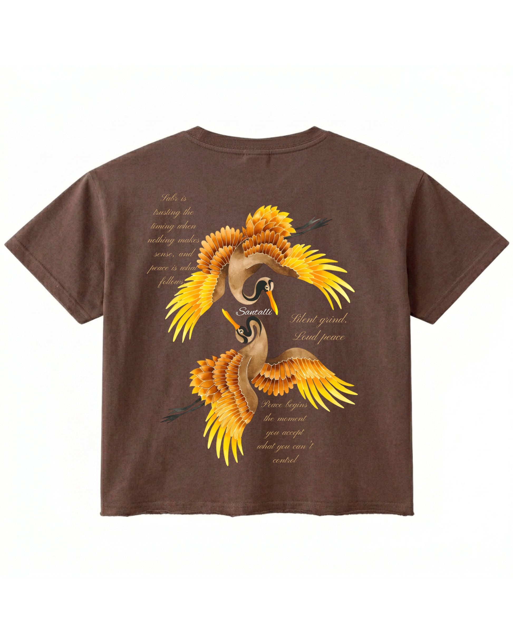 Brown Boxy Fit T-shirt Back Design