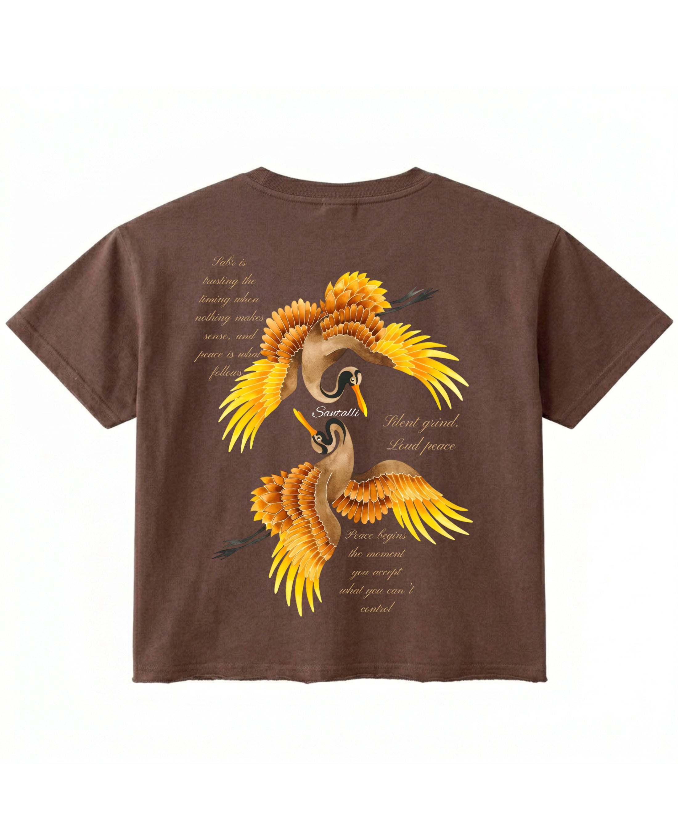 Brown Boxy Fit T-shirt Back Design