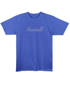 Blue Regular Fit T-shirt Front Design