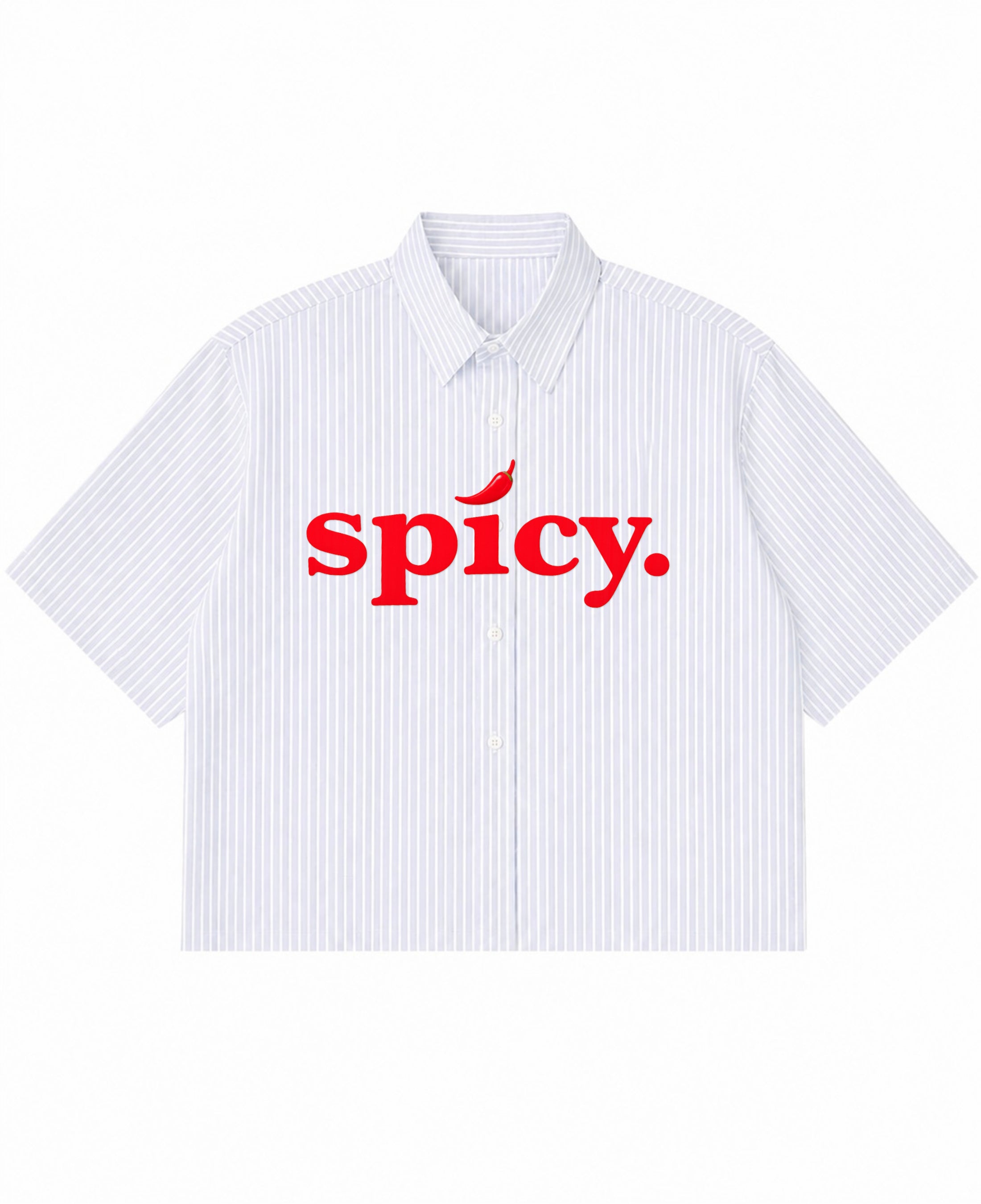 Blue Striped Oxford Boxy Shirt Front Design