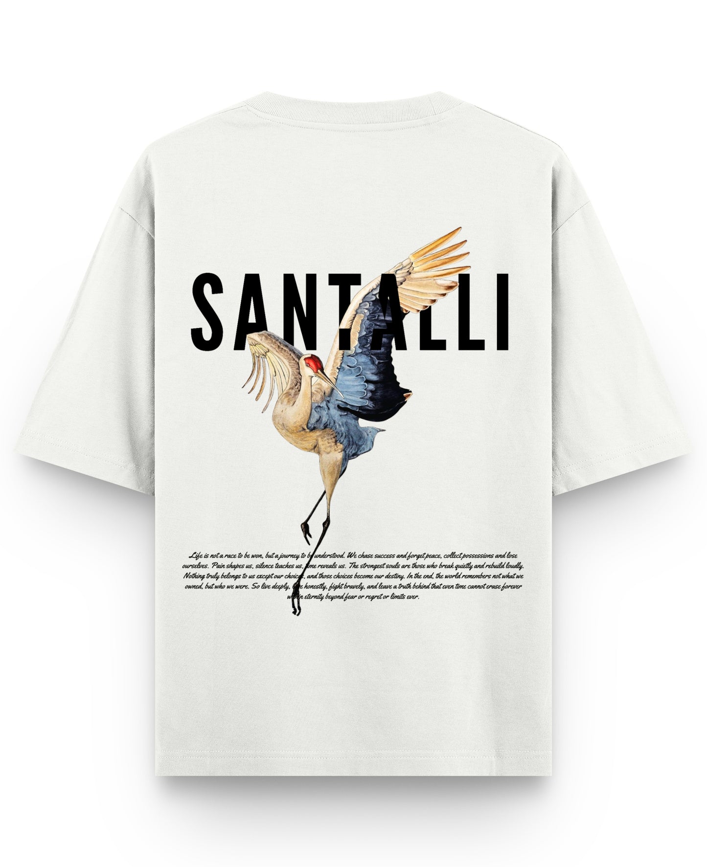 Off White Oversized T-shirt Back Design