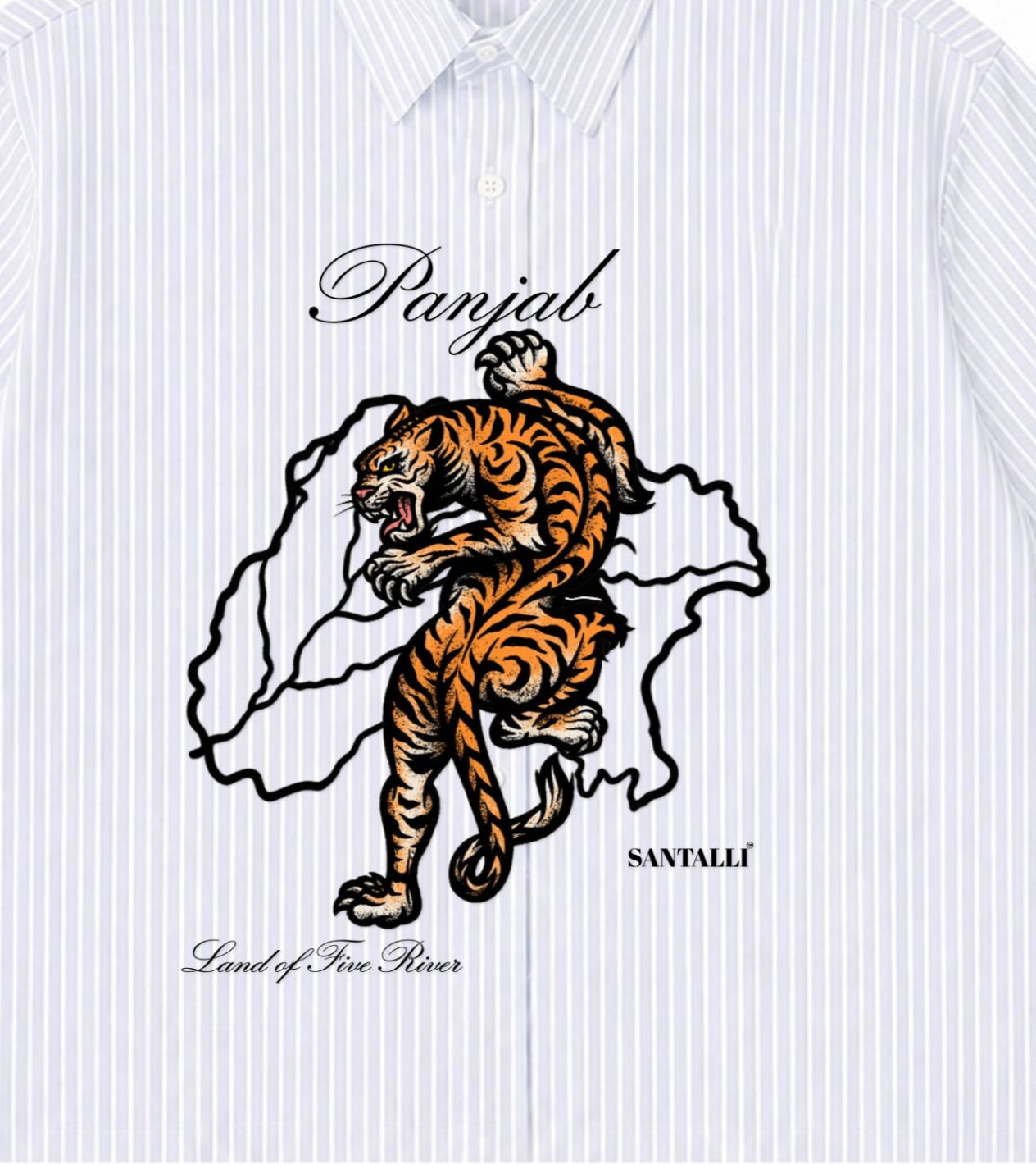 Blue Striped Oxford Boxy Shirt Front Design