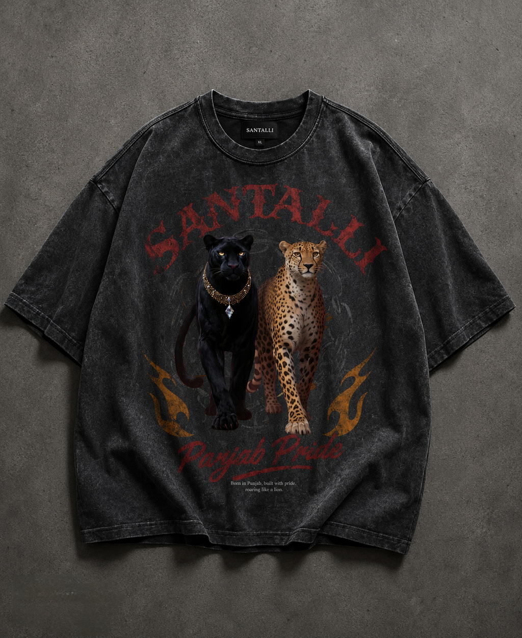 PANJAB PRIDE OVERSIZED T-SHIRT