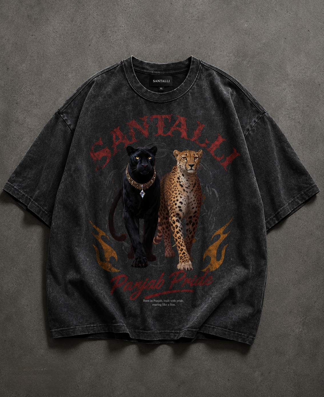 PANJAB PRIDE OVERSIZED T-SHIRT